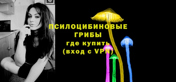 гидропоника Нязепетровск