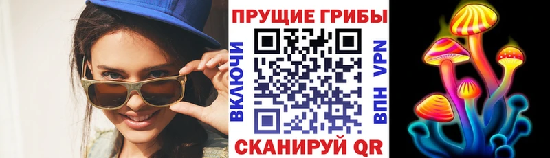 MEGA рабочий сайт Тайга Галлюциногенные грибы Psilocybine cubensis хочу